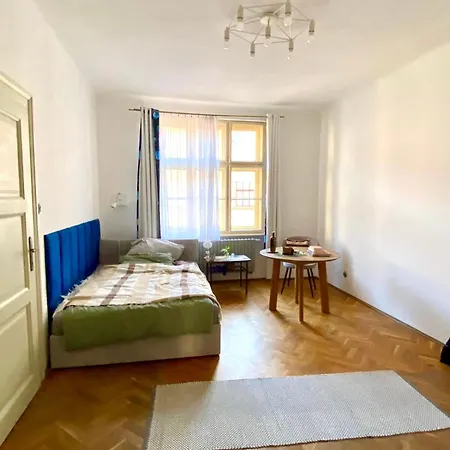3 Bedrooms Spacious Near Castle In Center ブラチスラヴァ